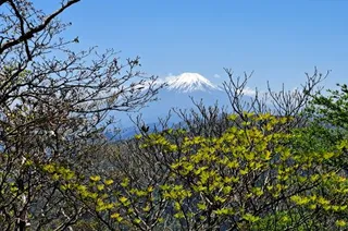 Vue Fuji sur mont ooyama