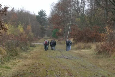 Foret de rambouillet sur le GR1