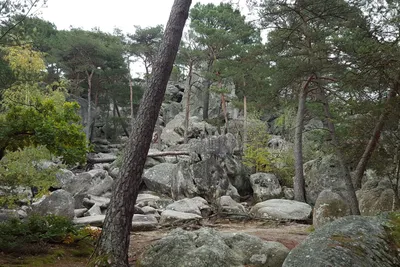 Blocs de pierres foret de fontainebleau