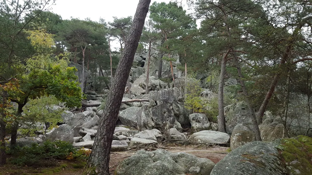 Fontainebleau forest stone blocks