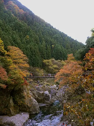 Le pont suspendu d'Hatonosu en automne