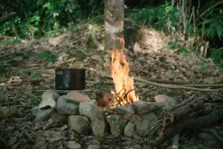Campfire in the forest with a hot pot