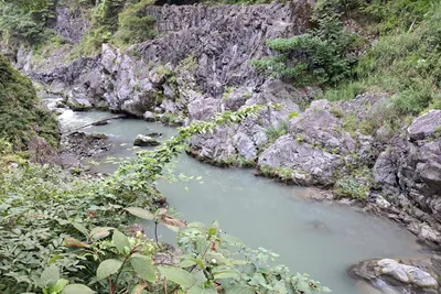 The Hatonosu Canyon seen from the hiking trail along the river