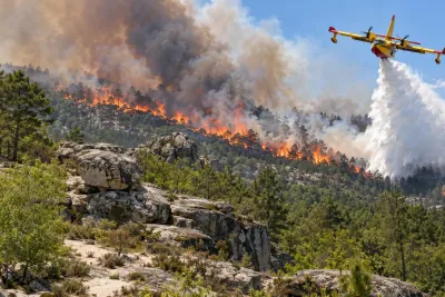 Canadair larguant de l'eau sur un incendie de pinède, avec des rochers de grès au premier plan