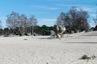 White sand expanse and sandstone rocks at the Cul du Chien in the Trois Pignons state forest