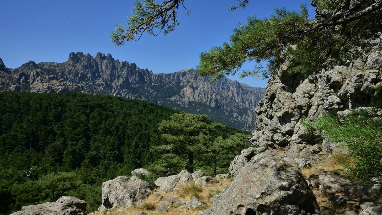 Top 5 Most Challenging GR Trails in France — Complete Guide